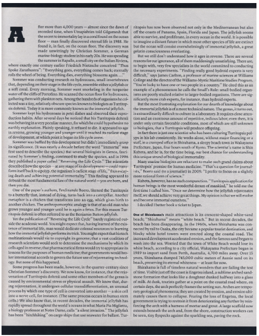 New York Times Sunday Morning